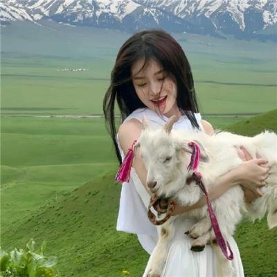 萌犬奇缘